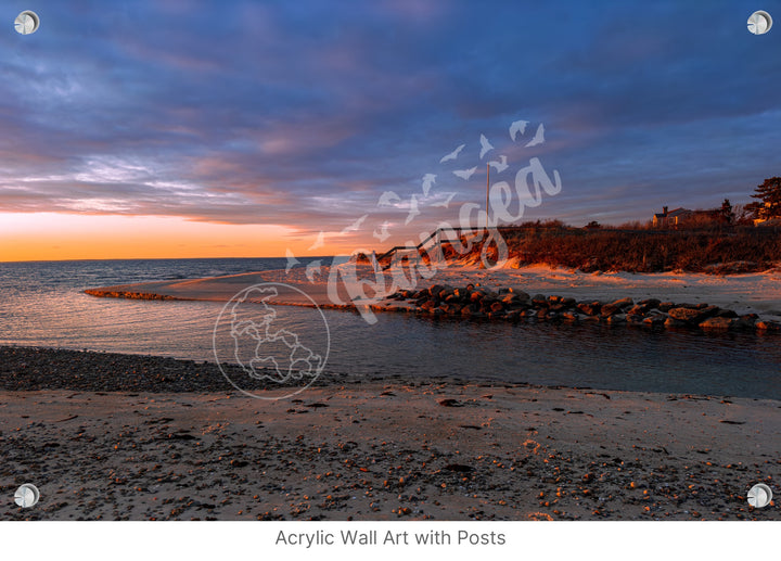 Wall Art: Woodneck Golden Hour