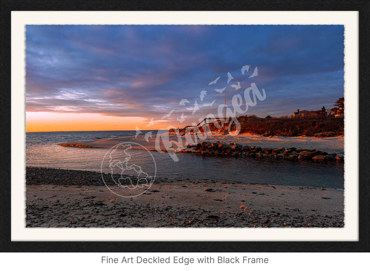 Wall Art: Woodneck Golden Hour