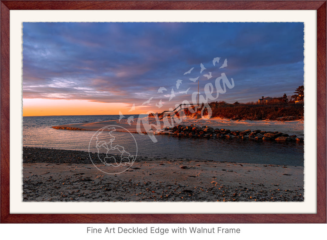 Wall Art: Woodneck Golden Hour