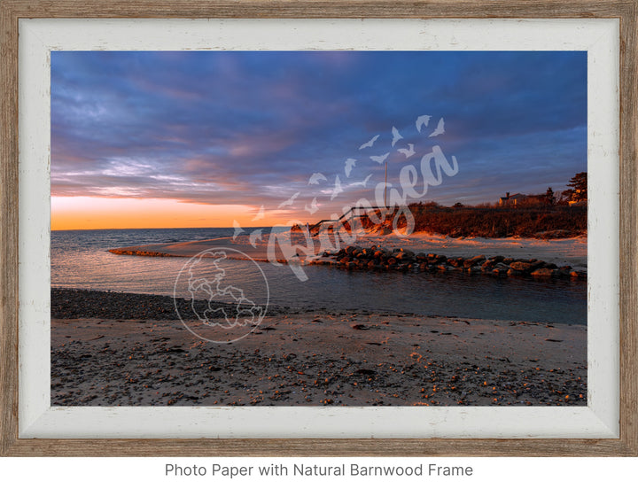 Wall Art: Woodneck Golden Hour