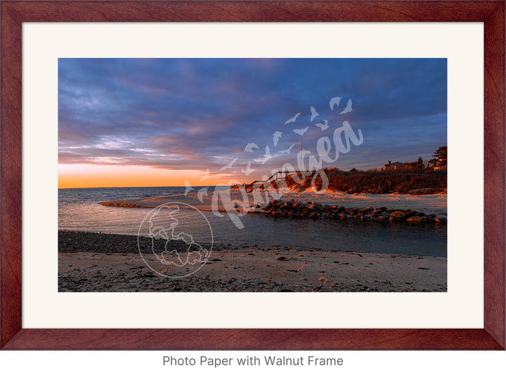 Wall Art: Woodneck Golden Hour