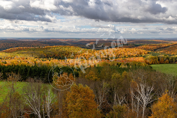 Wall Art: Fall Foliage on Québec's Scenic Lookouts