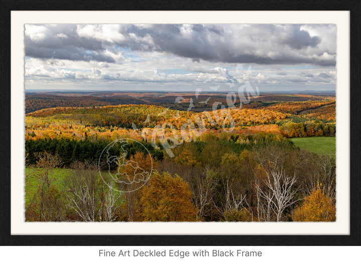 Wall Art: Fall Foliage on Québec's Scenic Lookouts