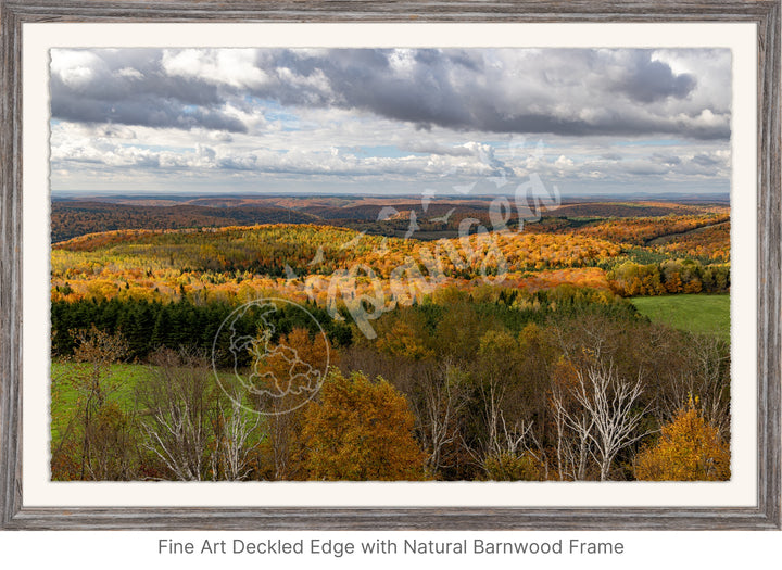 Wall Art: Fall Foliage on Québec's Scenic Lookouts