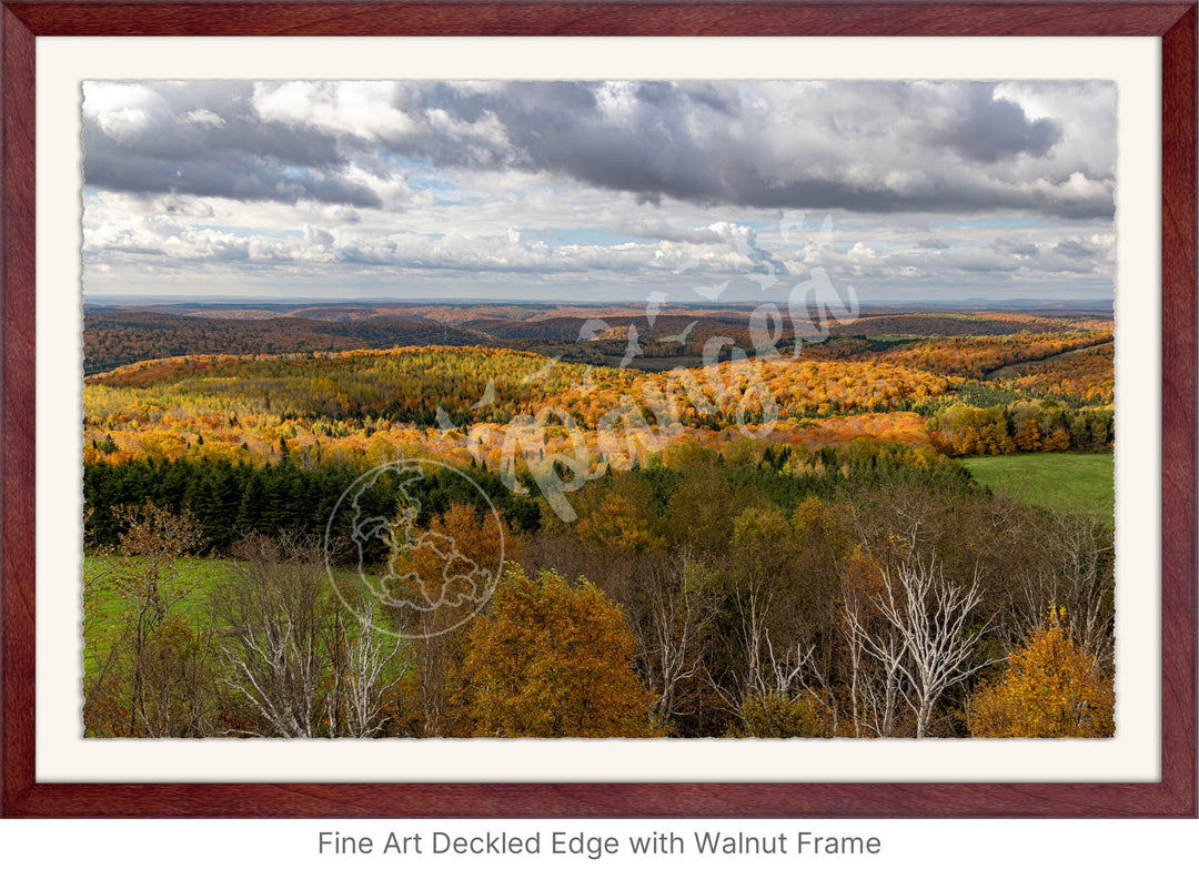 Wall Art: Fall Foliage on Québec's Scenic Lookouts