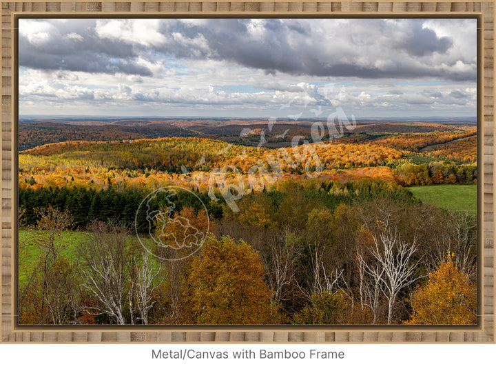 Wall Art: Fall Foliage on Québec's Scenic Lookouts