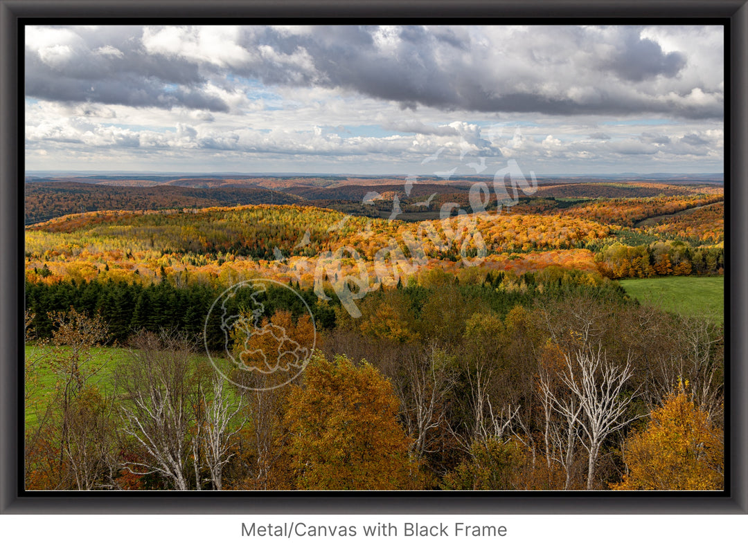 Wall Art: Fall Foliage on Québec's Scenic Lookouts