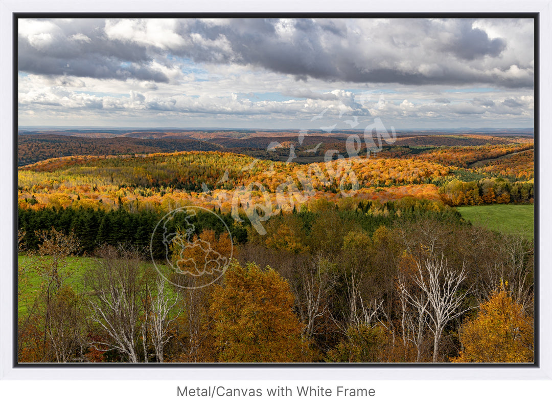 Wall Art: Fall Foliage on Québec's Scenic Lookouts