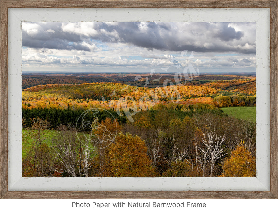 Wall Art: Fall Foliage on Québec's Scenic Lookouts