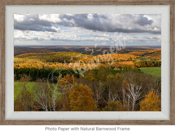 Wall Art: Fall Foliage on Québec's Scenic Lookouts