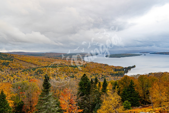 Wall Art: Height of Land Fall Colors