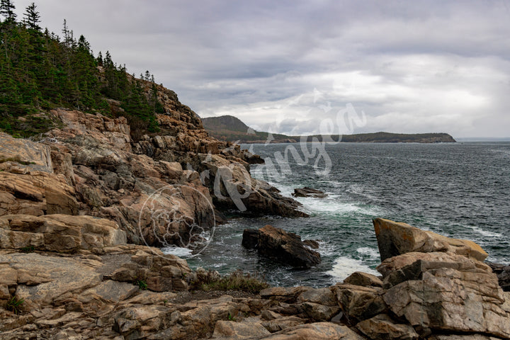 Wall Art: The Rugged Acadian Coast