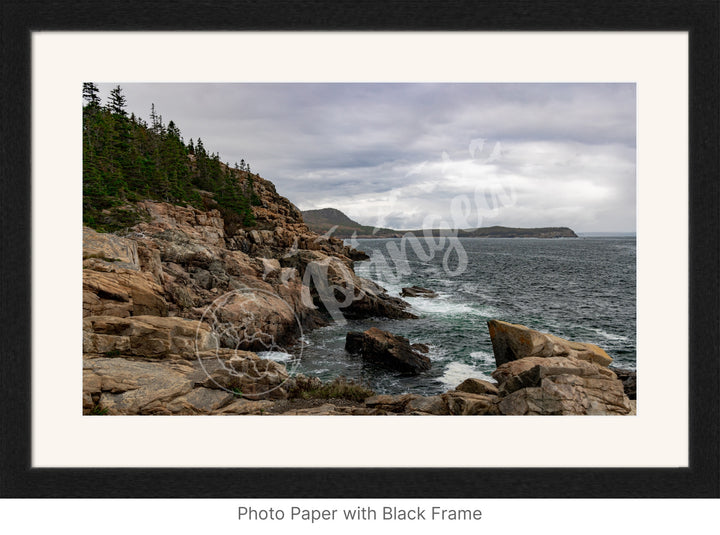 Wall Art: The Rugged Acadian Coast