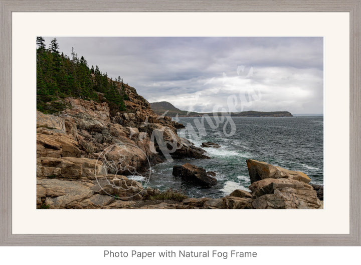 Wall Art: The Rugged Acadian Coast