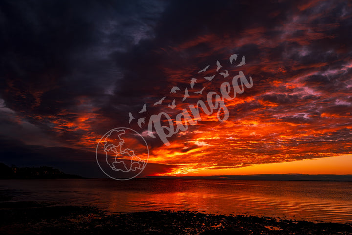 Wall Art: Blazing Cape Cod Skies