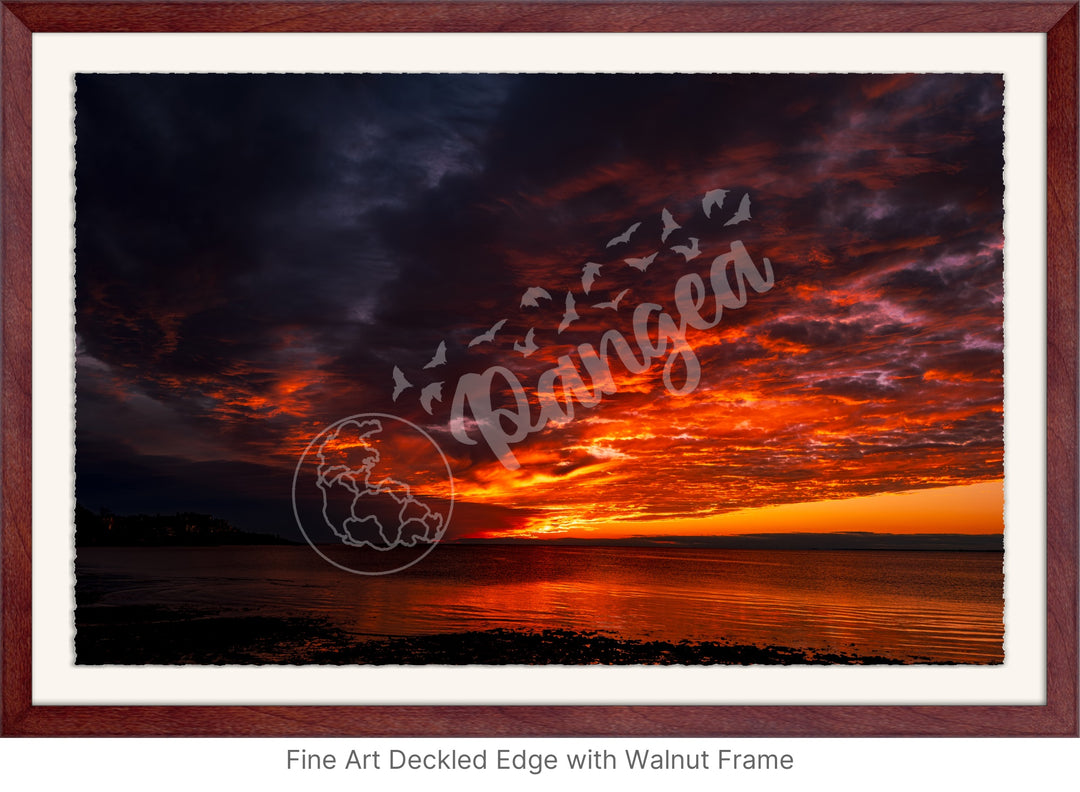 Wall Art: Blazing Cape Cod Skies