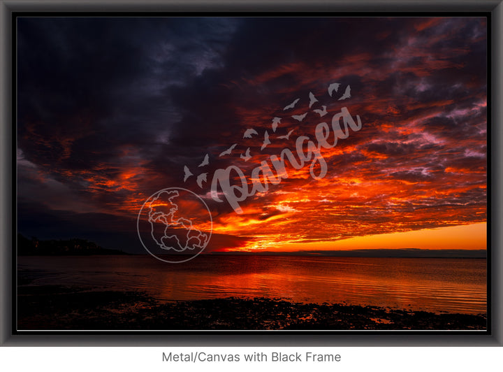 Wall Art: Blazing Cape Cod Skies