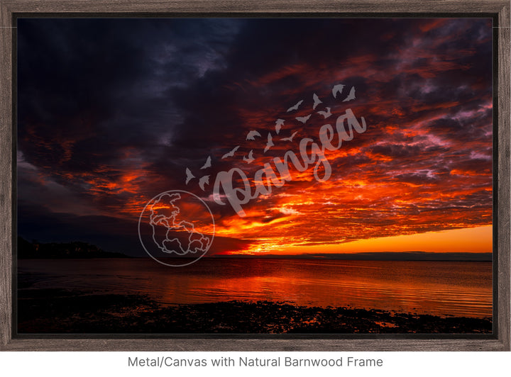 Wall Art: Blazing Cape Cod Skies