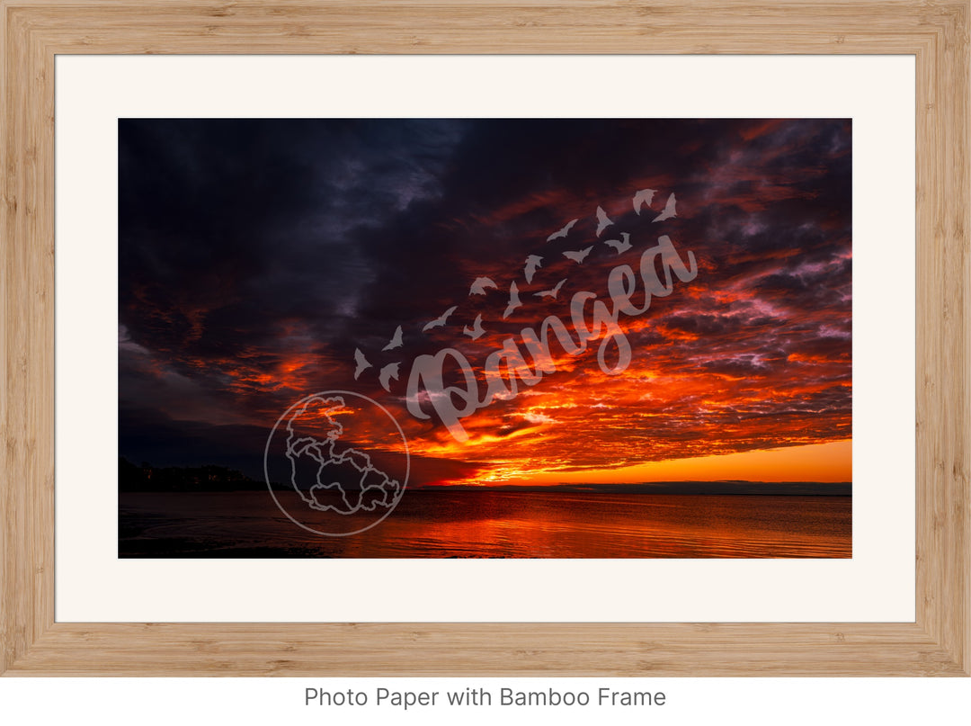 Wall Art: Blazing Cape Cod Skies