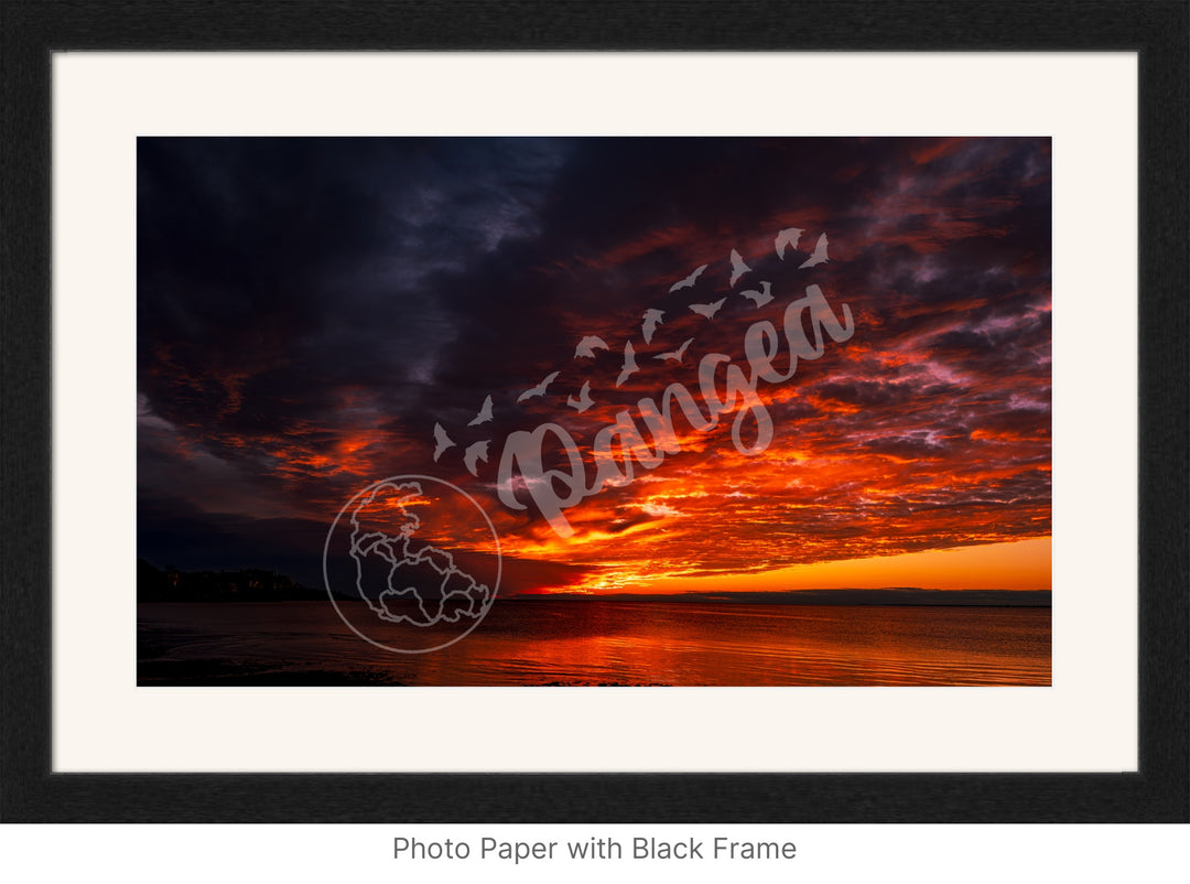 Wall Art: Blazing Cape Cod Skies