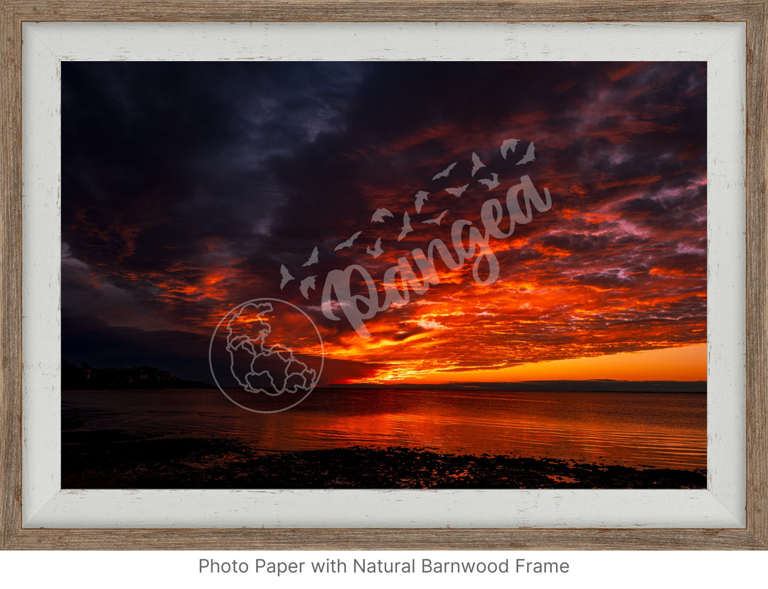 Wall Art: Blazing Cape Cod Skies