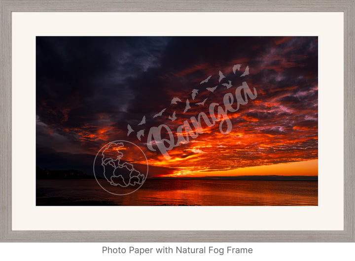 Wall Art: Blazing Cape Cod Skies