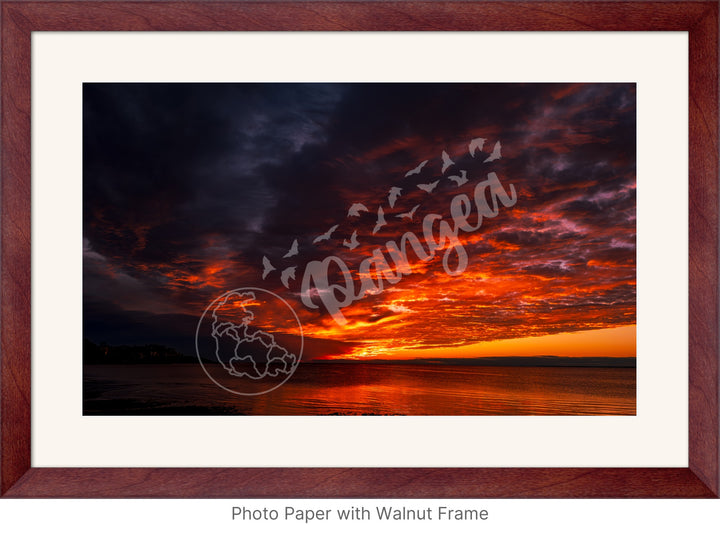 Wall Art: Blazing Cape Cod Skies