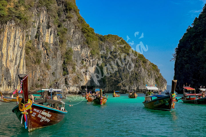 Wall Art: Longtail Boats in a Narrow Lagoon