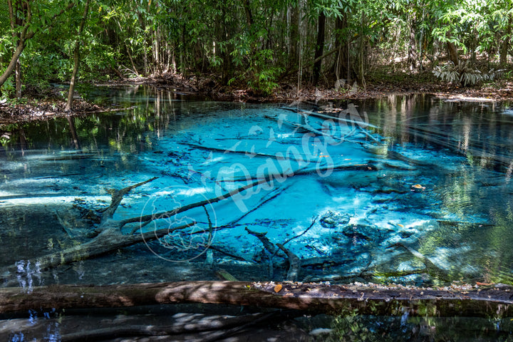 Wall Art: The Blue Pool