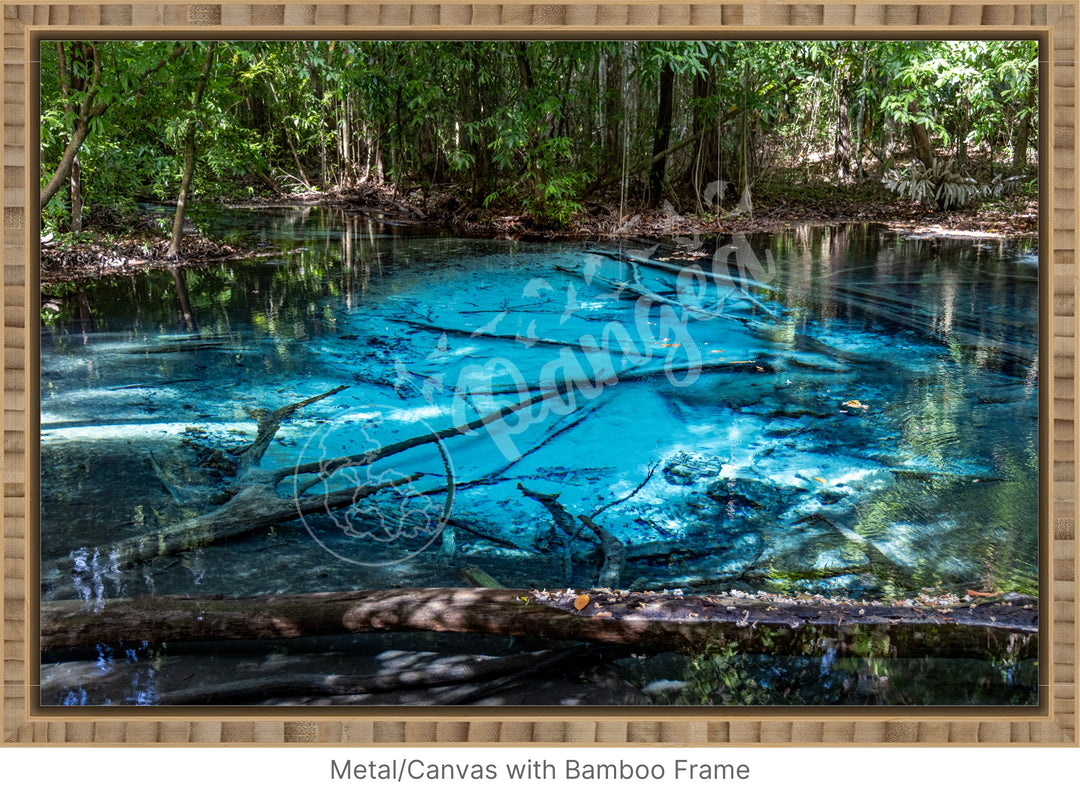 Wall Art: The Blue Pool