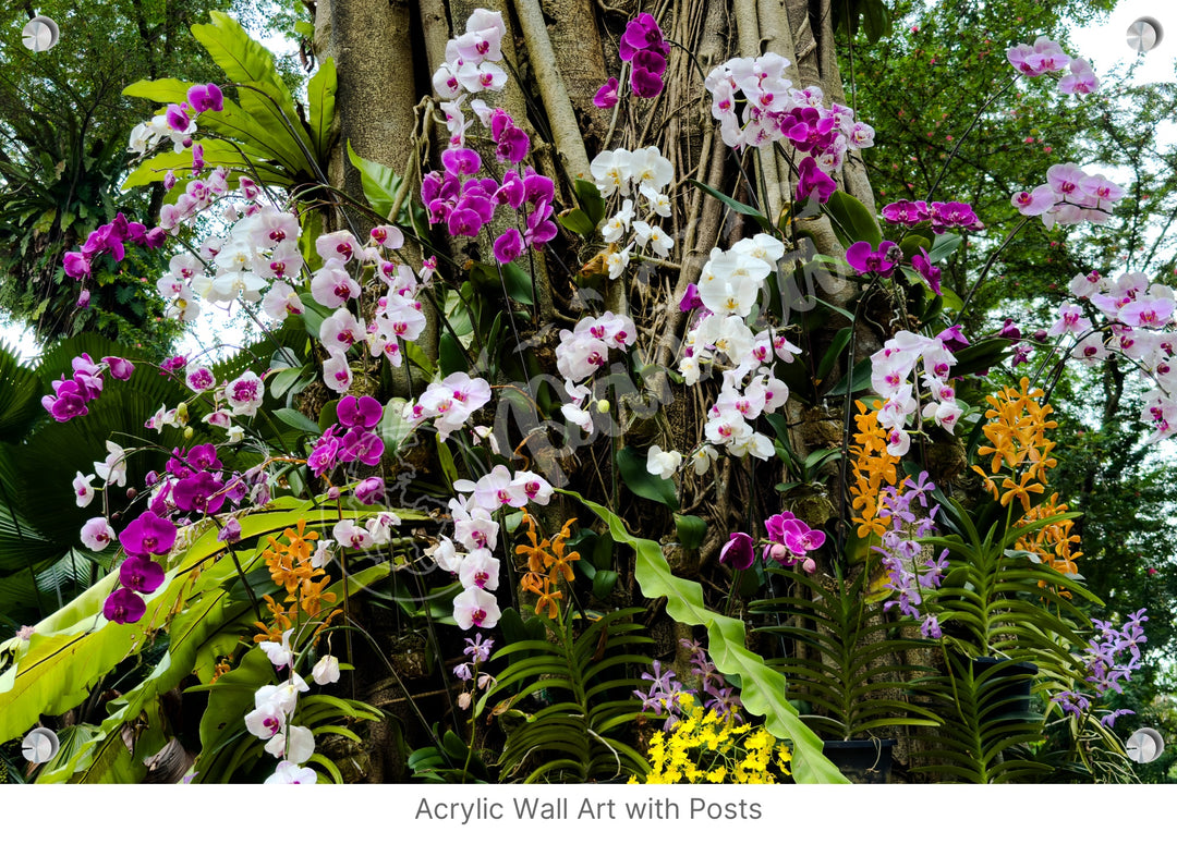 Wall Art: Taman Orkid