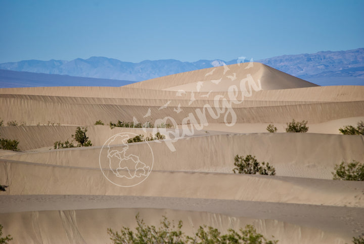 Wall Art: Death Valley Sand Dunes