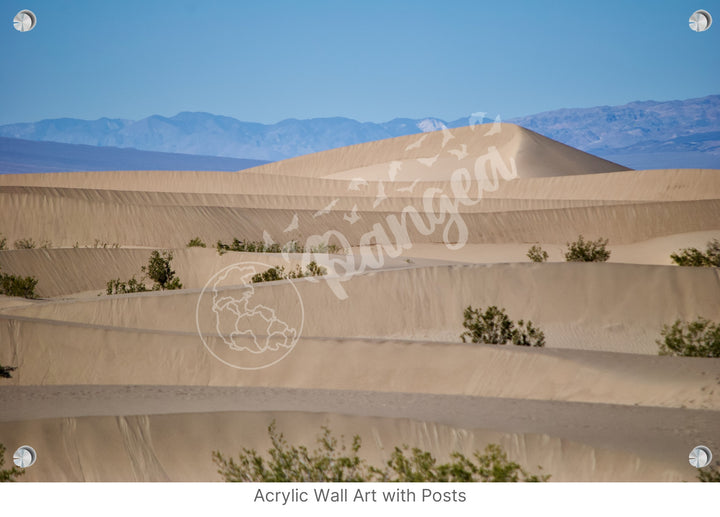 Wall Art: Death Valley Sand Dunes