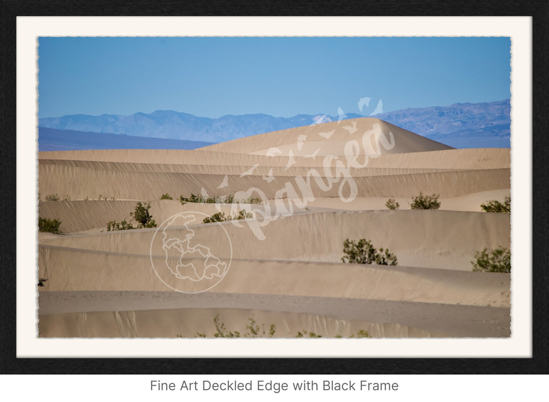 Wall Art: Death Valley Sand Dunes