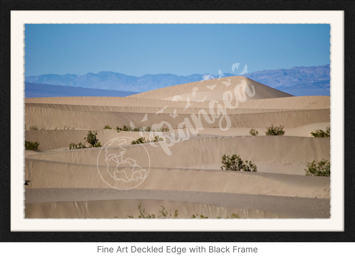 Wall Art: Death Valley Sand Dunes