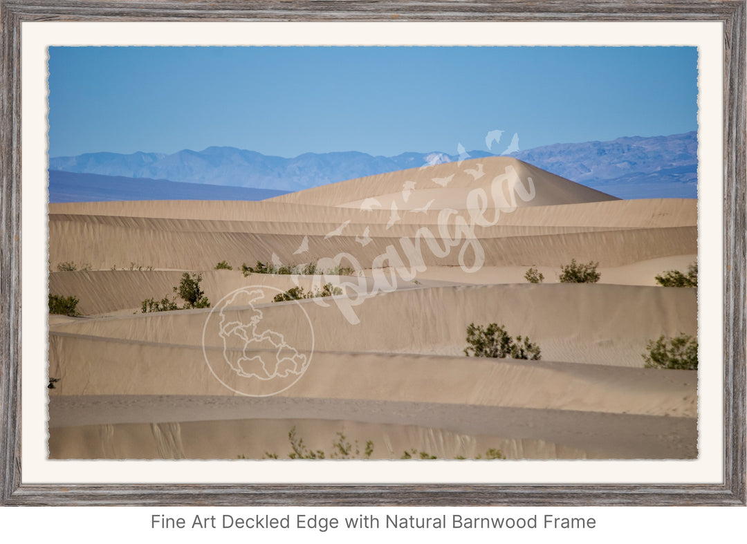 Wall Art: Death Valley Sand Dunes