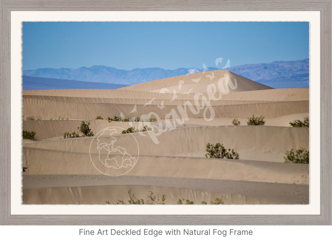 Wall Art: Death Valley Sand Dunes