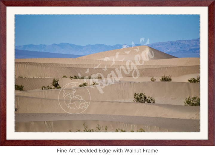 Wall Art: Death Valley Sand Dunes