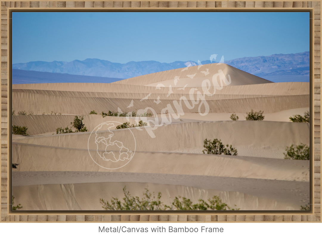 Wall Art: Death Valley Sand Dunes