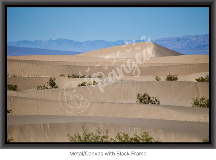 Wall Art: Death Valley Sand Dunes