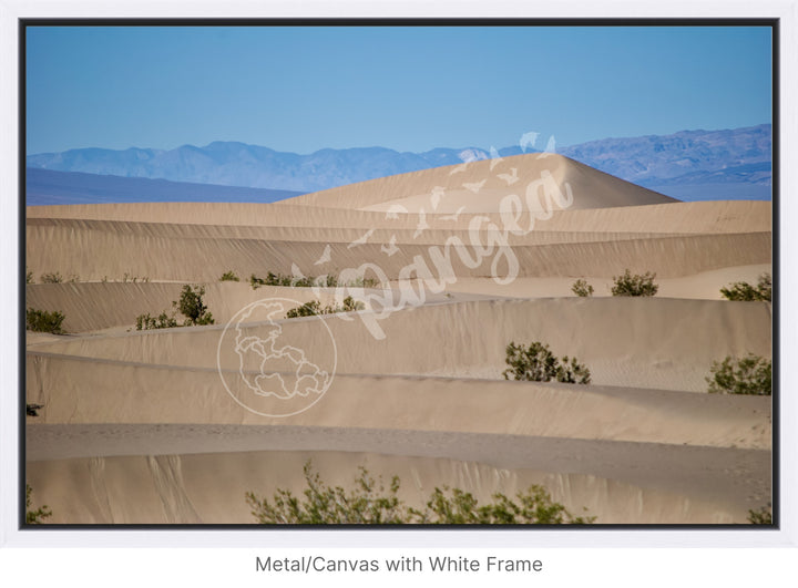 Wall Art: Death Valley Sand Dunes