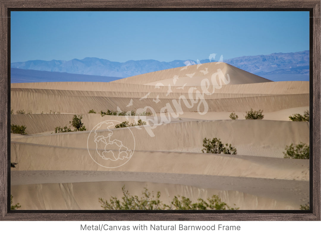 Wall Art: Death Valley Sand Dunes