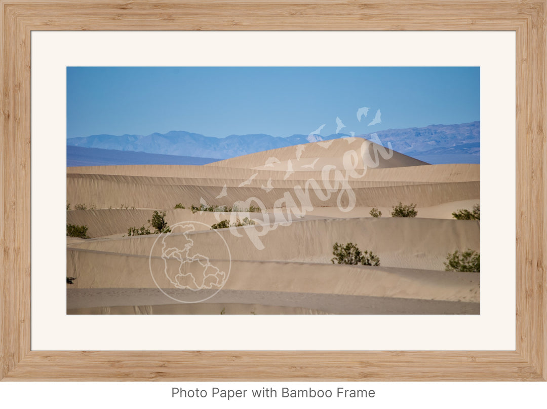 Wall Art: Death Valley Sand Dunes