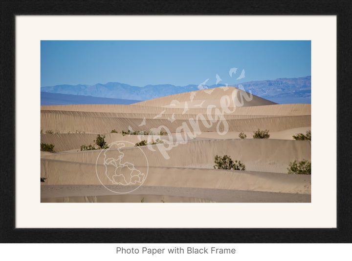 Wall Art: Death Valley Sand Dunes