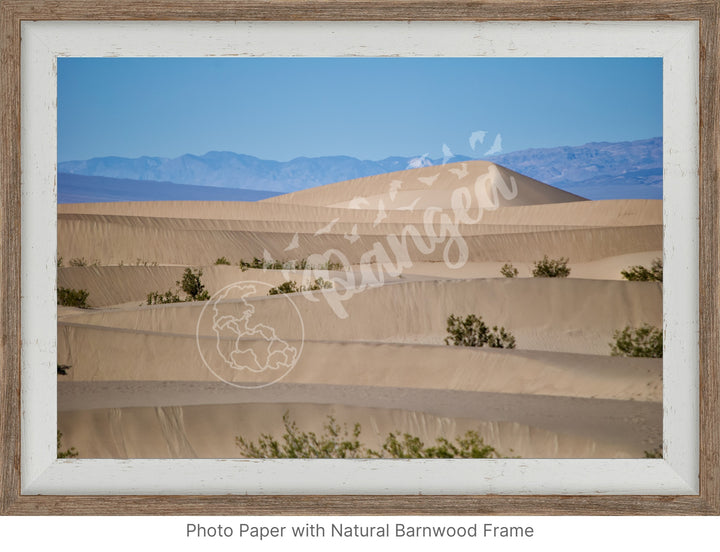 Wall Art: Death Valley Sand Dunes