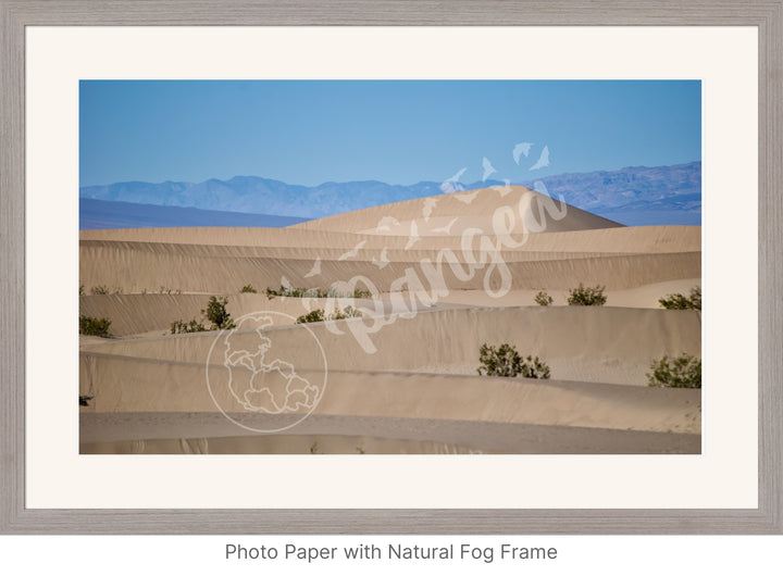 Wall Art: Death Valley Sand Dunes