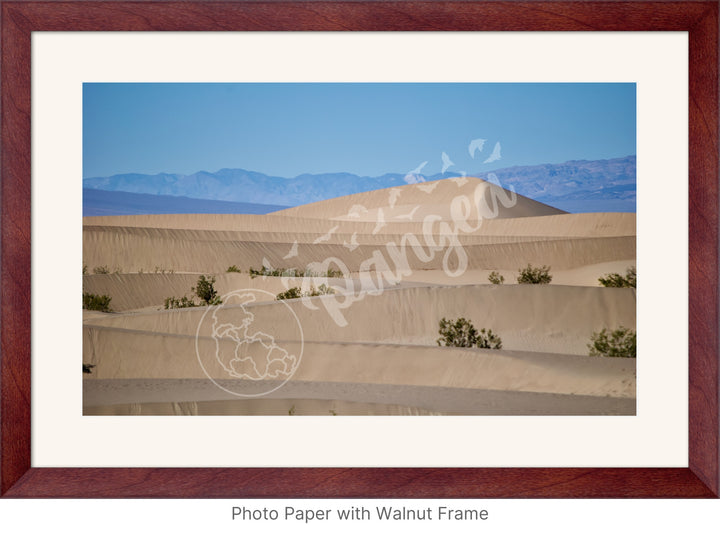 Wall Art: Death Valley Sand Dunes