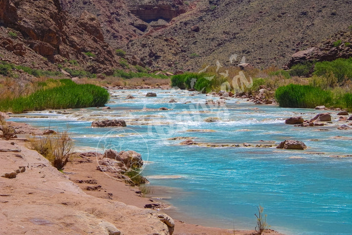 Wall Art: Little Colorado Oasis