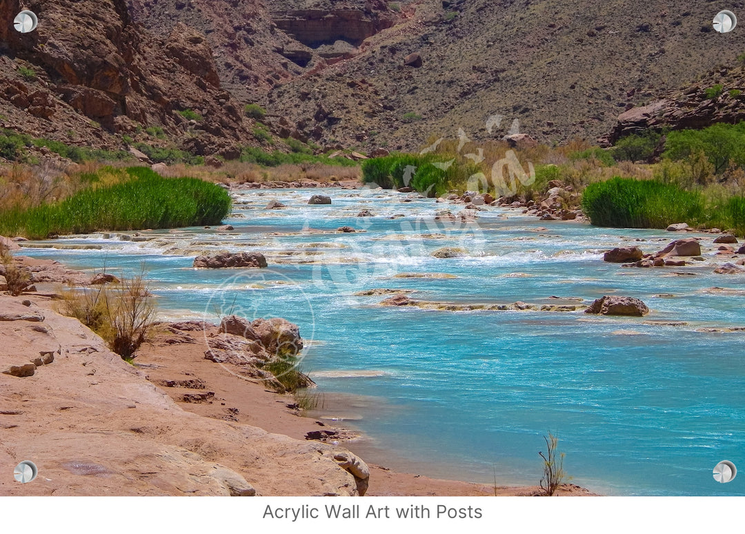 Wall Art: Little Colorado Oasis