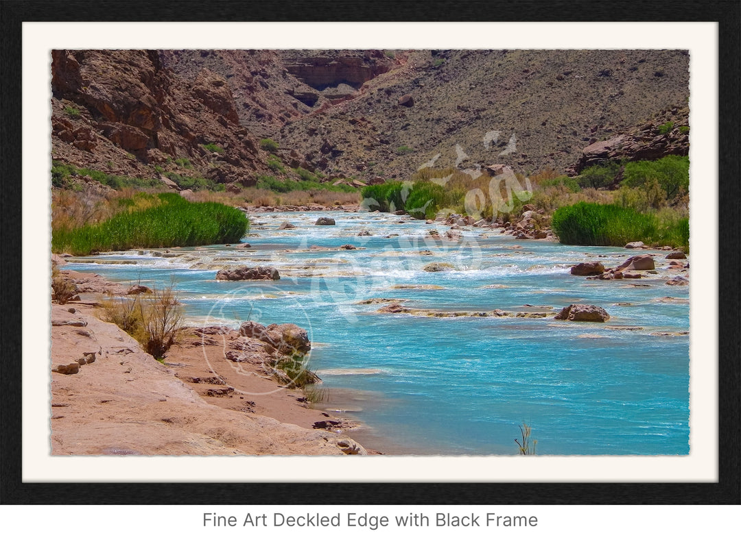 Wall Art: Little Colorado Oasis